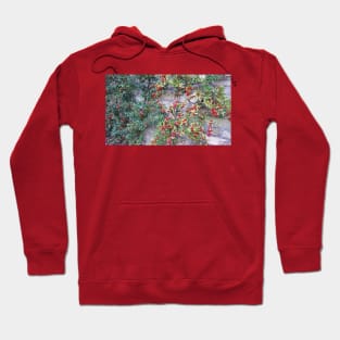 Paris Bois de Boulogne Red Berries Hoodie